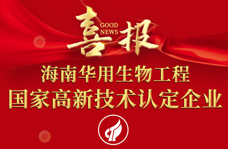 喜讯 | 海南88BIFA中国再次荣获国家高新技术企业认定
